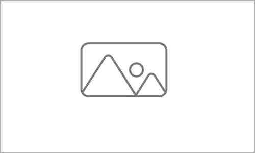 Image Here