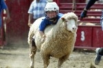 &quot;Mutton Bustin'&quot; - Casey Martin